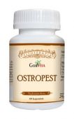 OSTROPEST x60 kaps.
